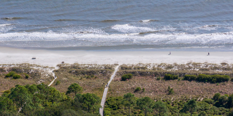 Discovering South Forest Beach Hilton Head Rentals: Your Ultimate Guide